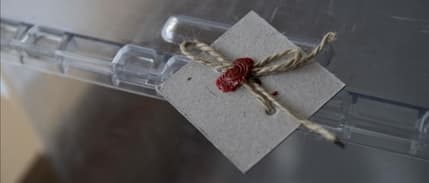 YSK duyurdu: Bazı illerin milletvekili sayıları değişti