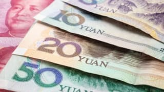 “Yuan ileride bir kripto para birimine dönüşecek