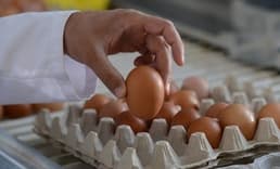 YUM-BİR yanıtladı: Yumurtada fiyat artışının sebebi ne?