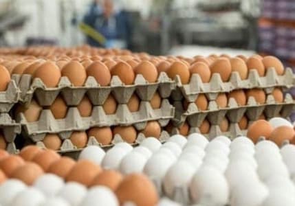 Yumurta fiyatları bu yıl Mayıs Çukuru'na erken düştü