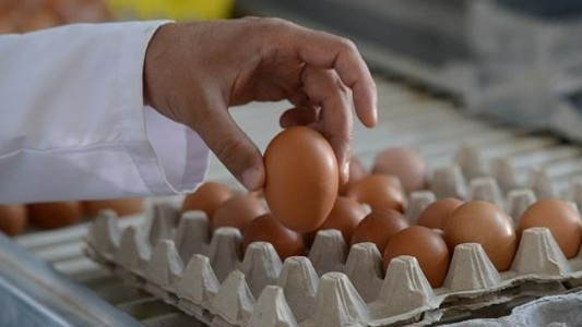 Yumurta fiyatları mayıs çukuruna erken düştü