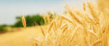 Yurttaş: Üretimimizin Yerli Ve Milli Olması Için Çaba Gösteriyoruz