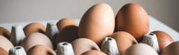 YÜSAD: Yumurta fiyatları yılın ikinci yarısında hızla yükselebilir