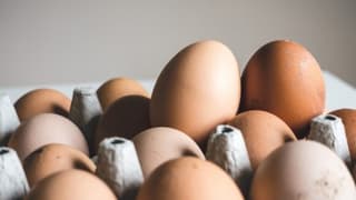YÜSAD: Yumurta fiyatları yılın ikinci yarısında hızla yükselebilir