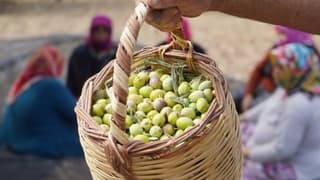 Zeytinyağı fiyatları için “yok yılı” uyarısı