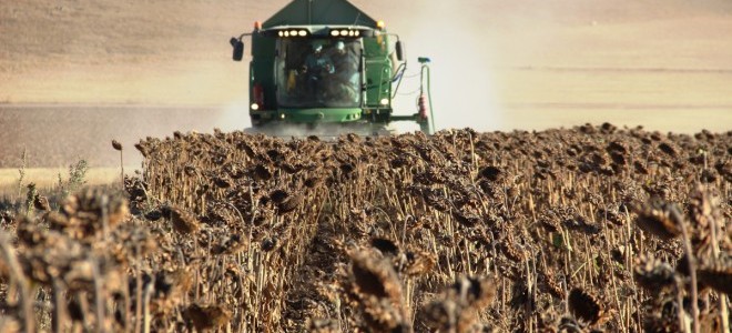 Ziraat Katılım'dan düşük kar payı oranlı tarım finansmanı